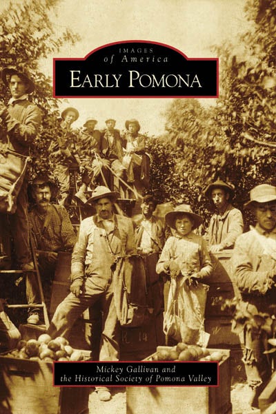 Early Pomona