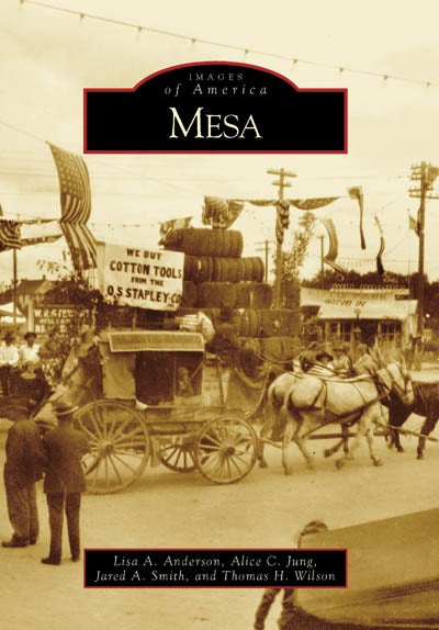 Mesa