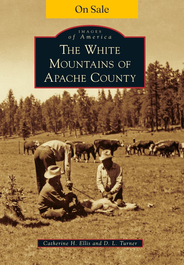 The White Mountains of Apache County