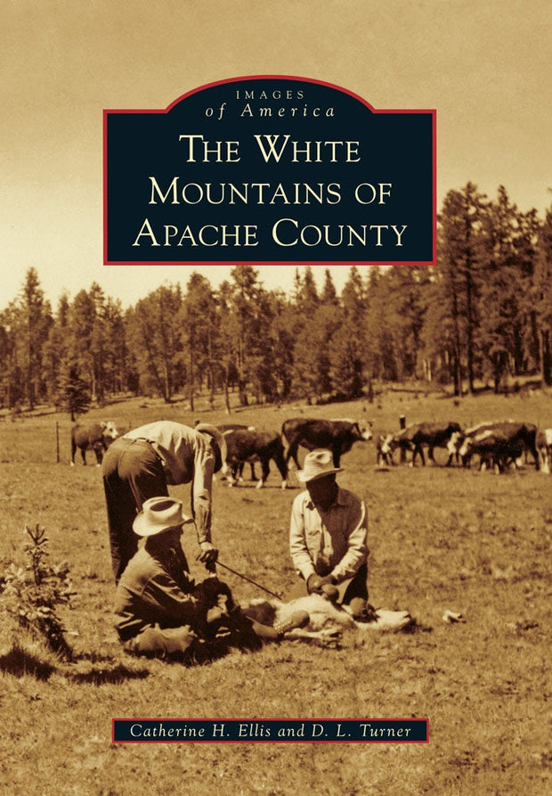 The White Mountains of Apache County