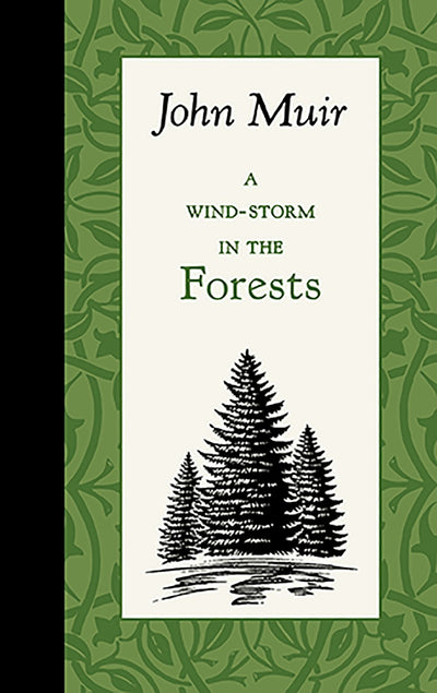 Cover image for A Wind-Storm in the Forests, isbn: 9781429096140