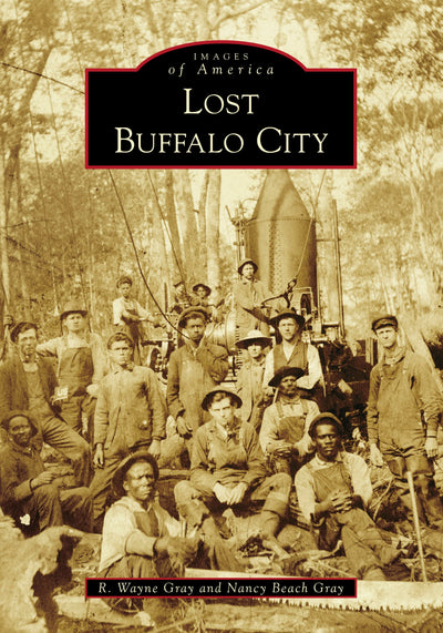 Lost Buffalo City