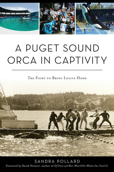 A Puget Sound Orca in Captivity