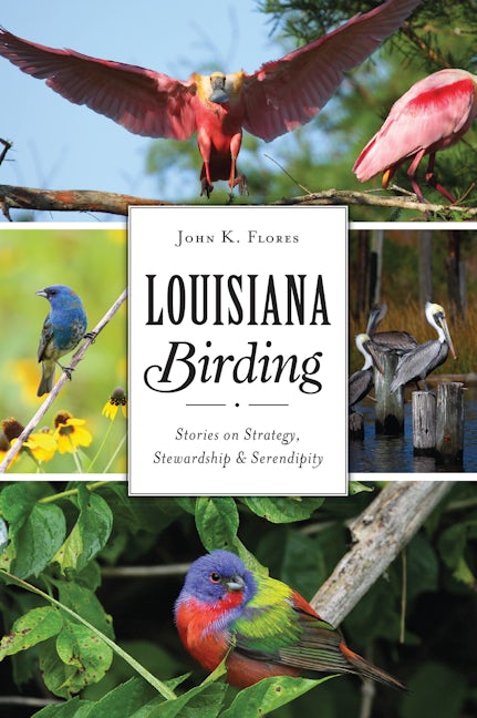 Louisiana Birding