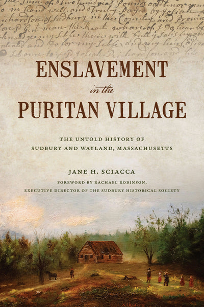 Cover image for Enslavement in the Puritan Village, isbn: 9781467157179